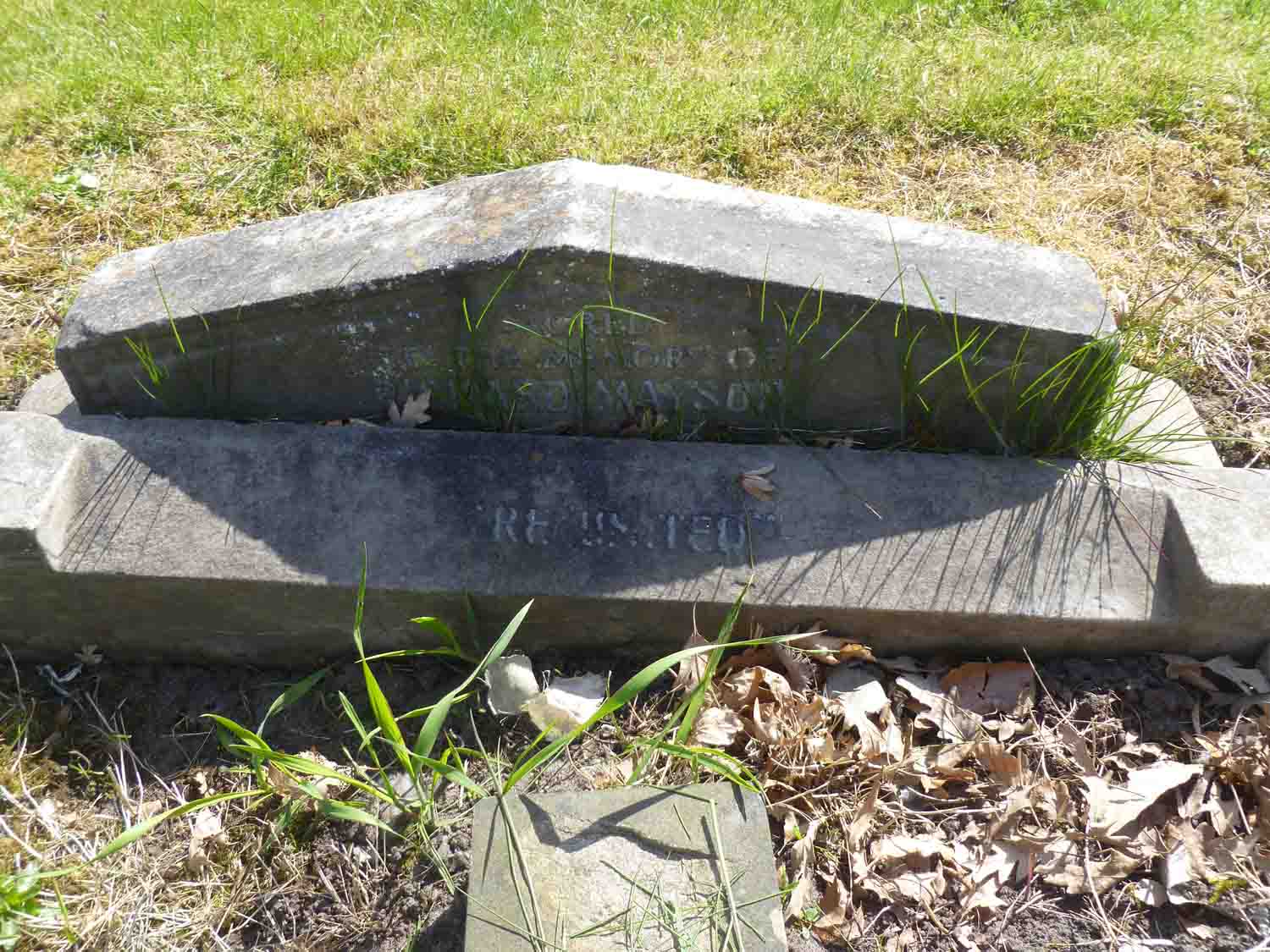 Mayson, Richard (D Left 907)